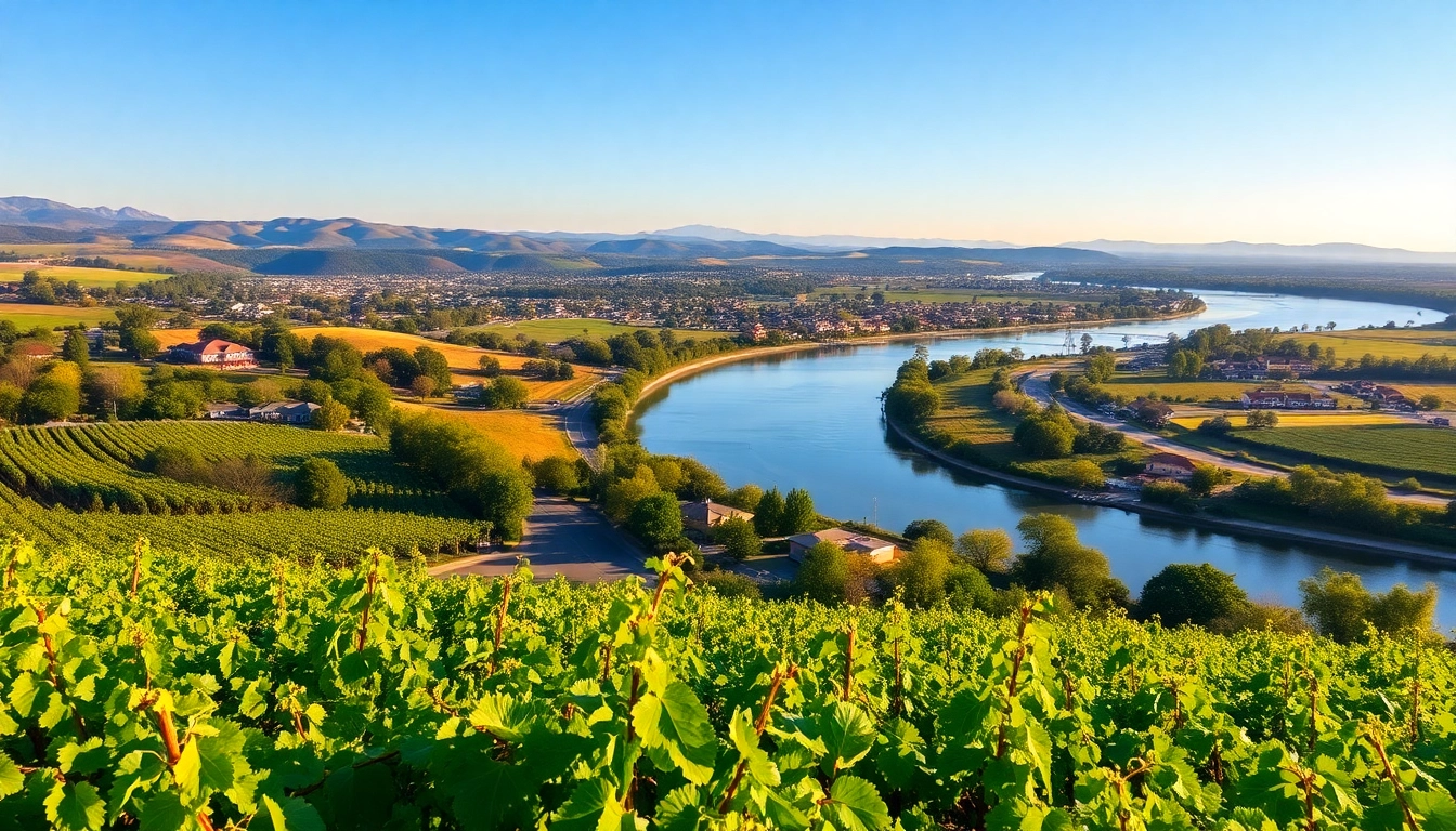 View of Clarksburg, California with scenic vineyards and the Sacramento River in the background.